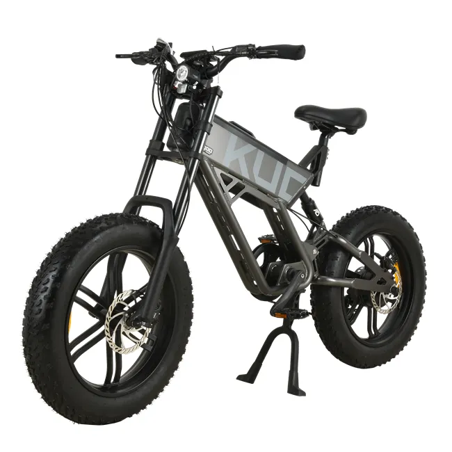 750W Electric Bike For Adults